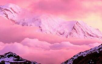 Pink Wallpaper High Definition Quality Widescreen