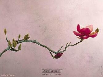 Wallpaper HD Anne Geddes