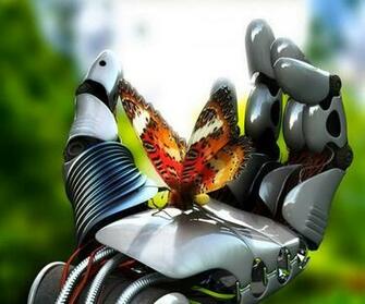 4d Butterfly Live Wallpaper Screenshot