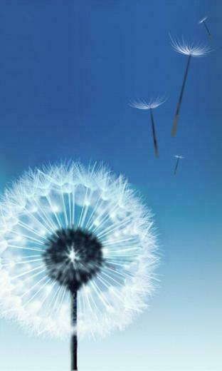 Samsung Galaxy S3 Live Wallpaper Awesome Background