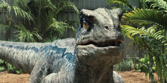 Jurassic World Velociraptor Raptor Blue