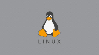 Minimalist Linux Tux Wallpaper R Linuxmint