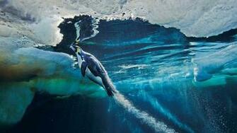 The Most Extreme Scuba Diving Experiences Under Sea