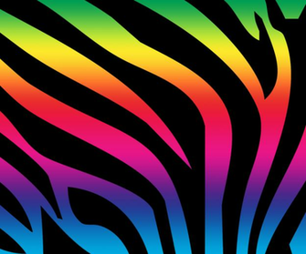 Neon Zebra Print Wallpaper Picswallpaper