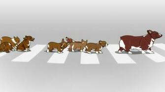 Cowboy Bebop Wallpaper Ein Corgi