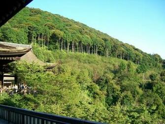 Nature Green Hills HD Wallpaper