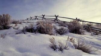 Winter In Cattle Country Wallpaper