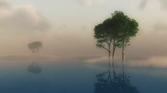 Fog Wallpaper HD