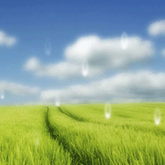 Dream Rain Animated Desktop Wallpaper