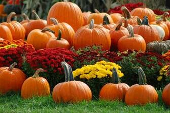 Fall Inspired Desktop Background