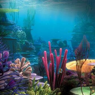 Under The Sea iPadwallpaper Me