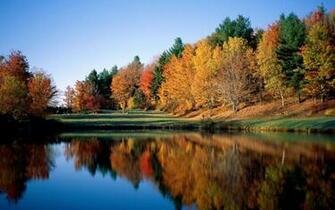 Autumn Spring Nature Wallpaper Real Time Imgstocks