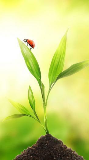Test Flight Galaxy S5 Wallpaper Samsung