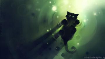 Fish Fresh Water Cat On Full HD Wallpaper Desktop Background