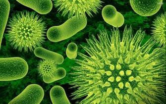 Bacteria Wallpaper