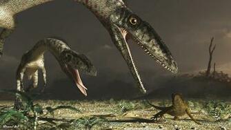 Fossilien By Mary Lou On Prezi