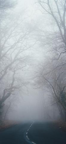 Foggy City Top Background Access iPhone