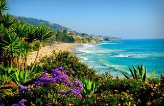 Laguna Beach Wallpaper
