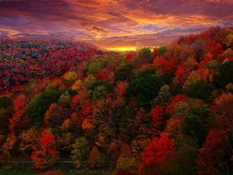 Beautiful Fall