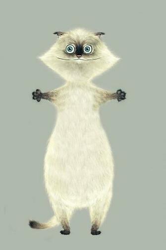 Funny Cat iPhone HD Wallpaper