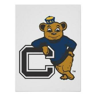 Pin Uc Berkeley Pennant Logo