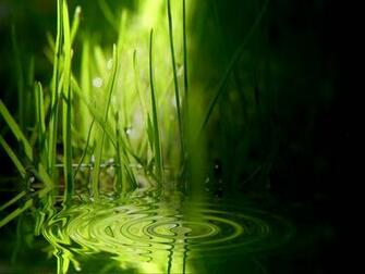 Upload Ee Vista Wallpaper Grass Ripples Jpg Desktop Background