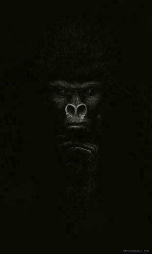 Gorilla By Logartis With Image Tattoo