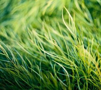 Htc One M8 Wallpaper 16techglen Techglen Apps For Pc