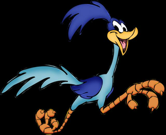 The Road Runner By Ksbansal