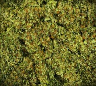 Weed Background