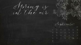 Chalkboard Beauties Desktop Wallpaper