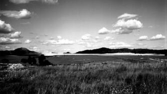 Black And White Nature Wallpaper