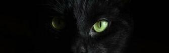 Black Wallpaper