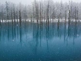 Wallpaper Seleccionados Por Nationalgeographic