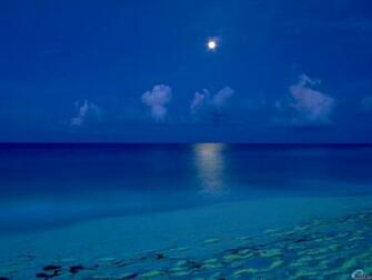 Beach At Night Wallpaper Wallpapercraft