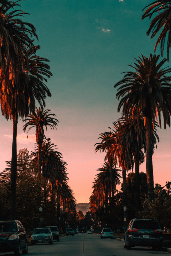Hollywood Wallpaper