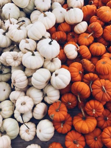 Cute Pumpkins Fall Wallpaper Background iPhone Pumpkin