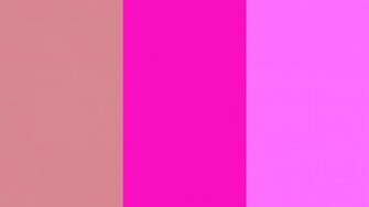 Blush Shocking Pink And Crayola Three Color Background
