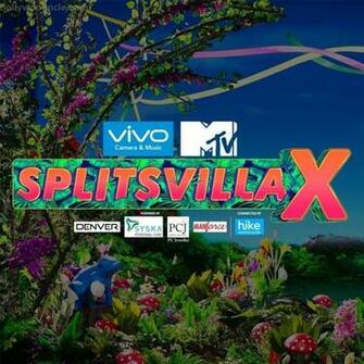 Mtv Splitsvilla Wallpaper Image Posters Photos Stills