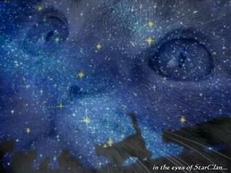 My Top Collection Warrior Cats Wallpaper