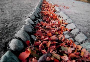 Wallpaper Leaves Ditch Hole Autumn 4kwallpaper