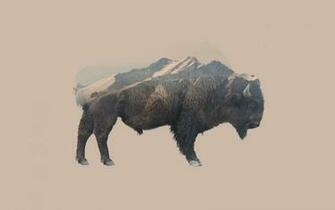 Double Exposure Animals Mountain Nature Bison