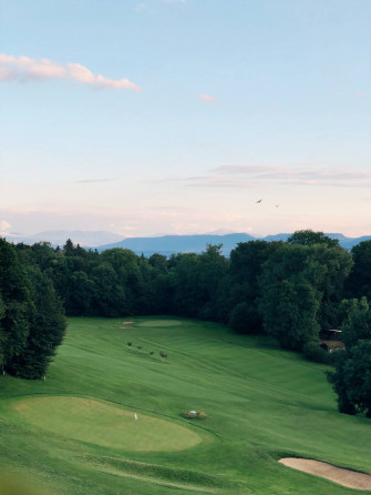 Golf Green Grass And Trees iPhone Wallpaper