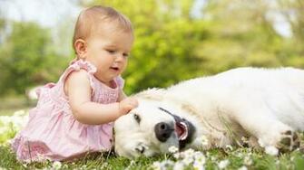Cute Baby Wallpaper Babiessucces