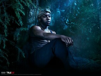 Hq Night True Blood Wallpaper Num X