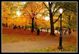 Girl Meets Book Autumn In New York