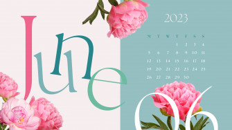 June Calendar Editorial Style Desktop Wallpaper In
