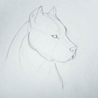 Drawings