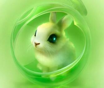 Cute Rabbit Wallpaper