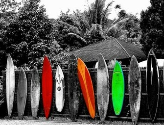 Surfing Wallpaper And Background Of Surf